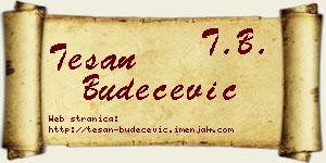 Tešan Budečević vizit kartica